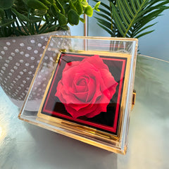 Luxury Rose Box with 7 mm Cubic Zirconia Alluring Beauty Necklace